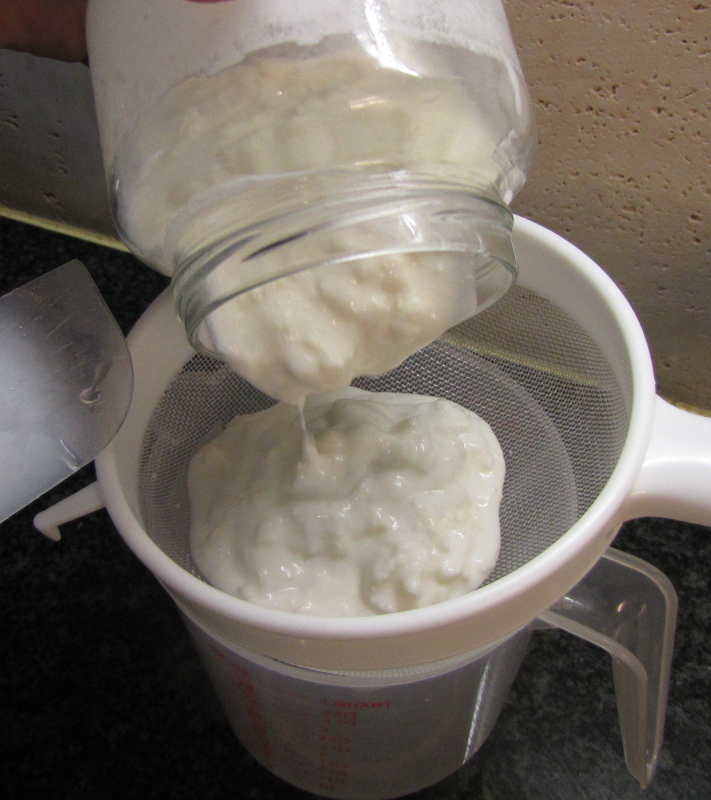 Straining the kefir to seperate the liquid from the grains
